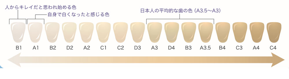 シェードガイ