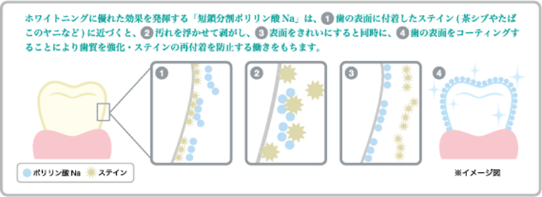 ポリリンプラチナホワイトニングはここが違います